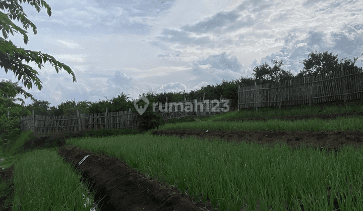 Tanah Subur Utk Pertanian Kebun Harga Borongan Termurah Kota Batu 1