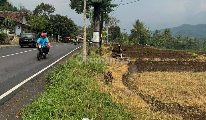 Tanah Sawah Poros Jalan Kondisi Subur Utk Tani Inves Di Malang 2