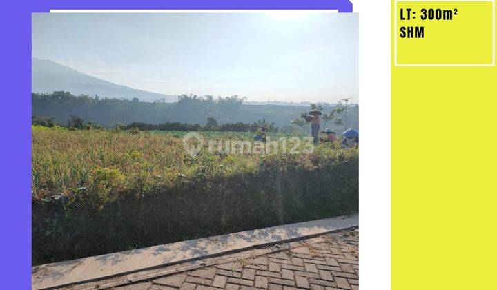 Tanah Sawah Luas Subur View 360 Drajat Murah Di Junrejo Batu 1