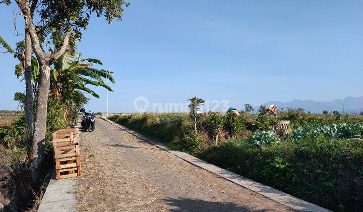 Tanah Sawah Luas Subur View 360 Drajat Murah Di Junrejo Batu 2