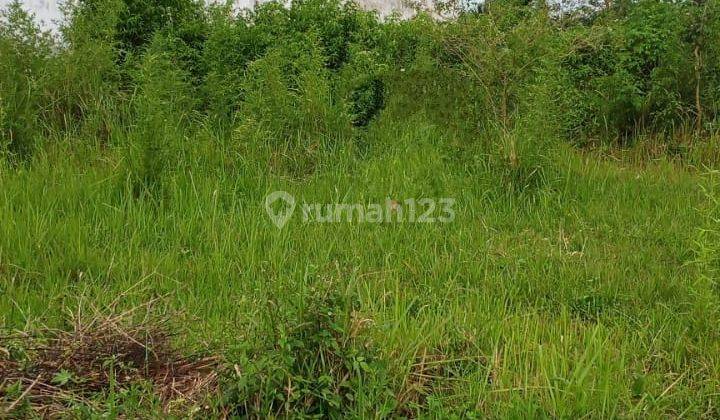 Tanah Luas Dan Murah Cocok Untuk Investasi Lokasi di Oro Oro Ombo 2