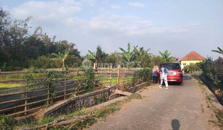 Tanah Luas Subur View Memanjakan Mata Nego Di Pandanrejo Batu 2