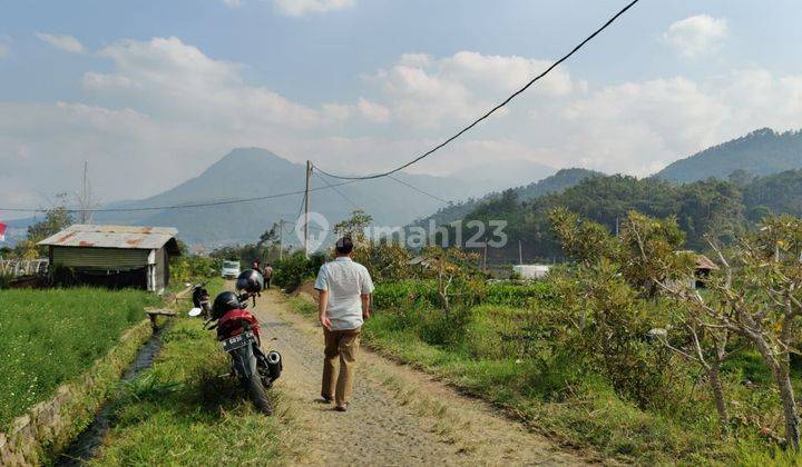 Tanah Luas Dan Murah Nego Cocok Dibangun Hunian Lokasi Bumiaji 2