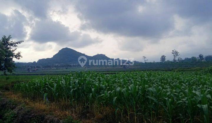 Tanah Luas Cocok Untuk Kavling pertanian Strategis Di Junrejo Batu 2