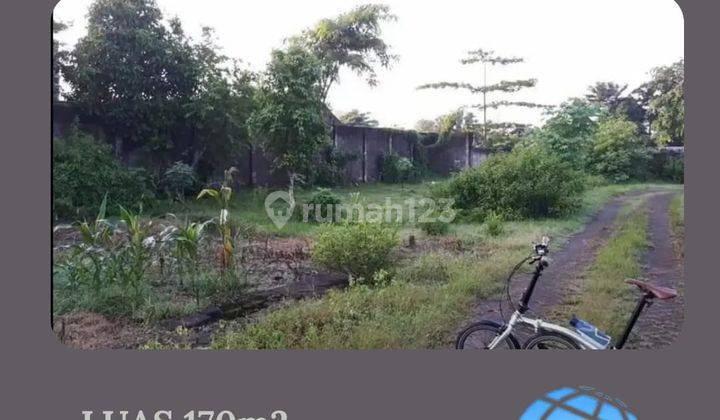 Tanah Kavling Luas Dan Murah Siap Bangun Lokasi di Jember 1