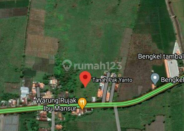 TANAH SUBUR HARGA ISTIMEWA DI GENDING KABUPATEN PROBOLINGGO. 2