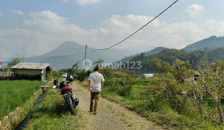 TANAH SAWAH SUBUR HARGA ISTIMEWA DI BUMIAJI KOTA WISATA BATU.  2