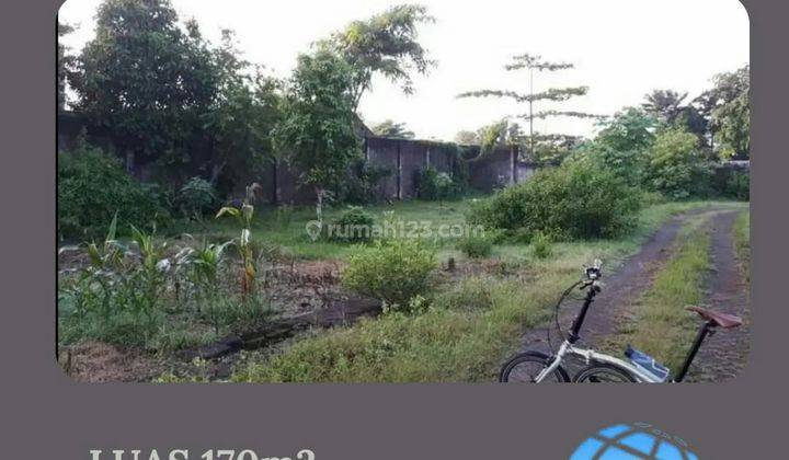 TANAH KAVLING HARGA ISTIMEWA DEKAT KAMPUS UNEJ JEMBER.