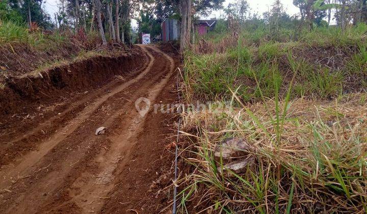 Tanah Luas Super Murah Cocok Intuk Investasi di Kota Batu 2