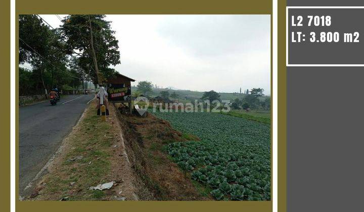 TANAH KEBUN SUBUR HARGA BAIK DI SINGOSARI KABUPATEN MALANG.  2