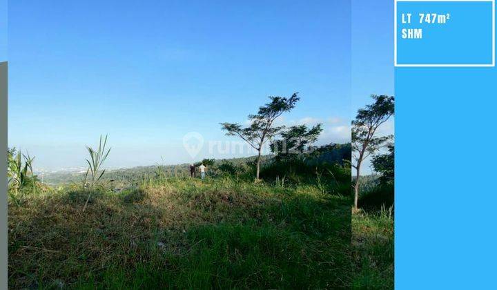 TANAH SAWAH SUBUR HARGA ISTIMEWA DI JALIBAR KOTA BATU.  1