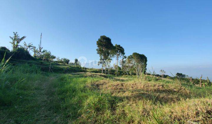 TANAH SAWAH SUBUR HARGA ISTIMEWA DI JALIBAR KOTA BATU.  2