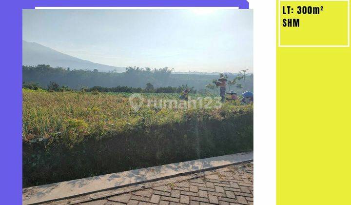 TANAH SAWAH SUBUR HARGA BAGUS DI TORONGREJO JUNREJO KOTA BATU.  1