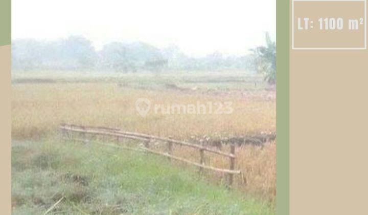 TANAH SAWAH LUAS HARGA BAGUS DI CERME KABUPATEN GRESIK.  1