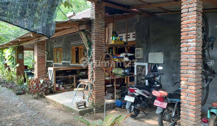 Rumah Luas Plus Kebun Strategis di Kasembon Malang  2