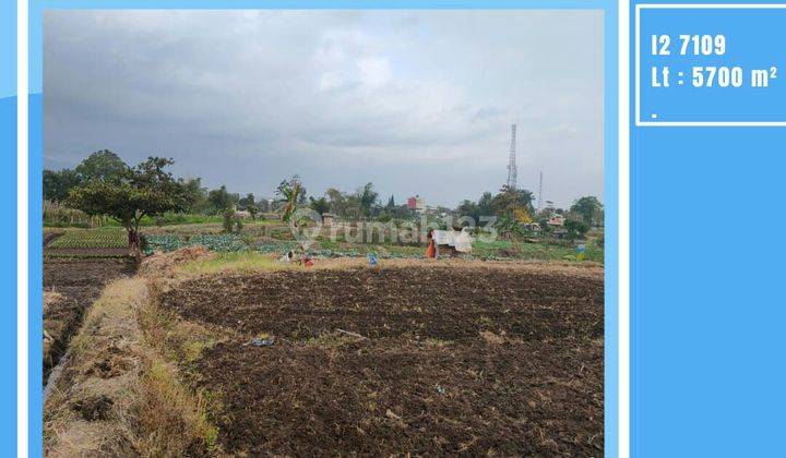 TANAH SAWAH SUBUR HARGA BAGUS DI PESANGGRAHAN KOTA BATU.  1