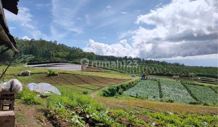 Tanah Sangat Luas View Menawan Subur Strategis Di Kab Malang 1