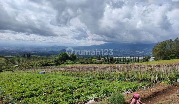 Tanah Sangat Luas View Menawan Subur Strategis Di Kab Malang 2