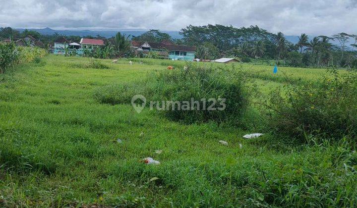 Tanah murah dan strategis poros jalan Kepanjen Malang  2