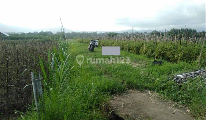 Tanah Murah Subur Bagus Untuk Tanam Sayuran Di Karangploso Malang 1