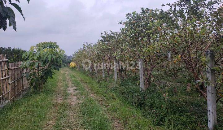 Tanah Dekat Baloga Untuk Bisnis Villa Akses Mudah Di Kota Batu 2