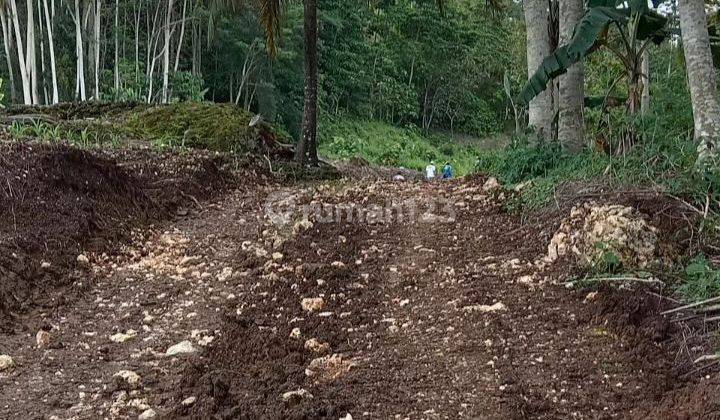 Tanah kebun luas strategis di Donomulyo Karangploso Malang 2