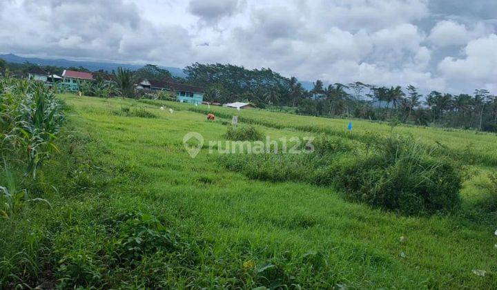 Tanah strategis poros jalan di Kepanjen malang 1