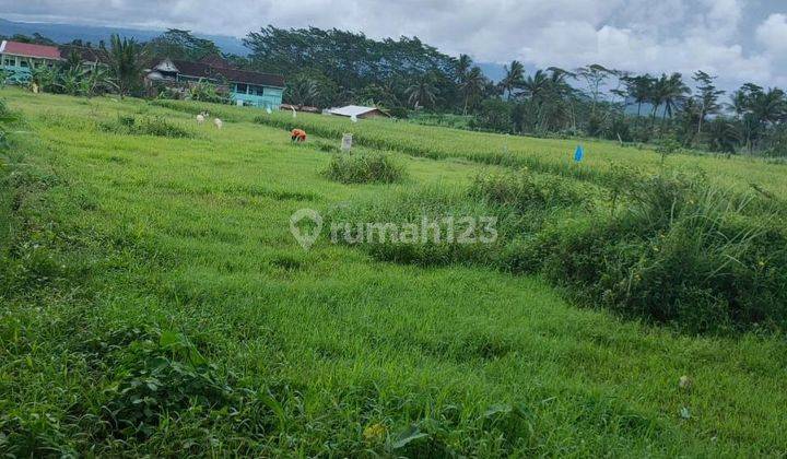 Tanah strategis poros jalan di Kepanjen malang 2