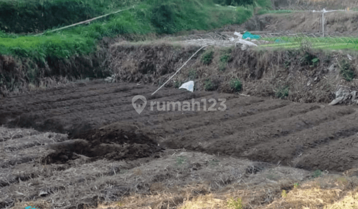 Lahan Luas Strategis Di Nol Jalan Raya Lokasi di Pujon Kab. Malang 1