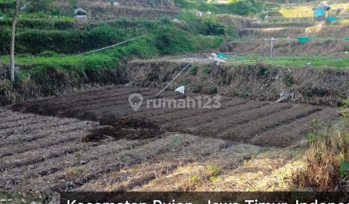 Lahan Luas Strategis Di Nol Jalan Raya Lokasi di Pujon Kab. Malang 2