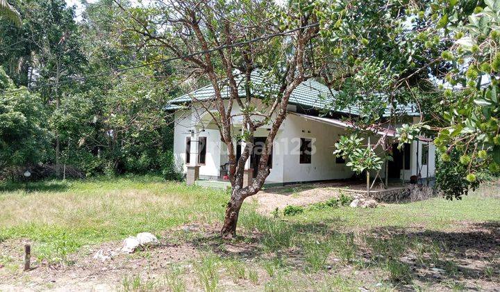 Rumah Murah Siap Huni Nyaman Lokasi di Simpur Kalimantan Selatan 1