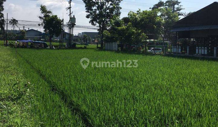 Tanah poros jalan raya murah di Karangploso Malang 1