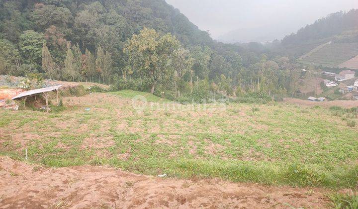 Tanah Subur Untuk Lahan Tani Luas Area Dataran Tinggi Kota Batu 2