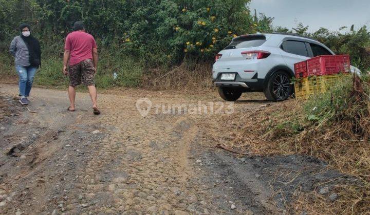 Kebun Jeruk Produktif Subur View Keren Area Bukit Jengkoang Batu 2