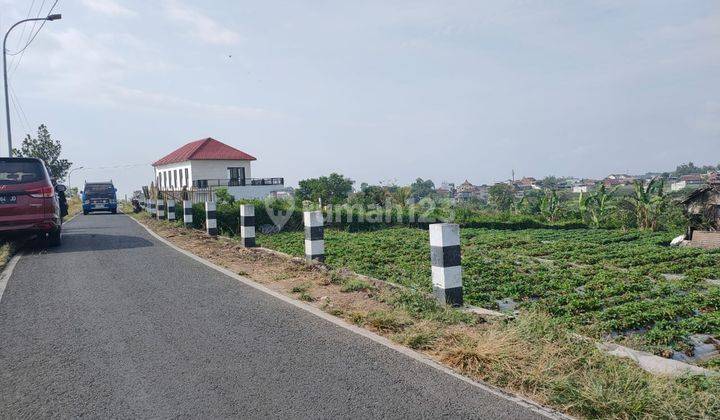 Tanah Murah Luas Strategis di Poros Jalan Pandanrejo Kota Batu 1