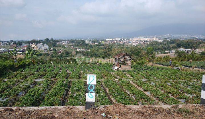 Tanah Murah Luas Strategis di Poros Jalan Pandanrejo Kota Batu 2