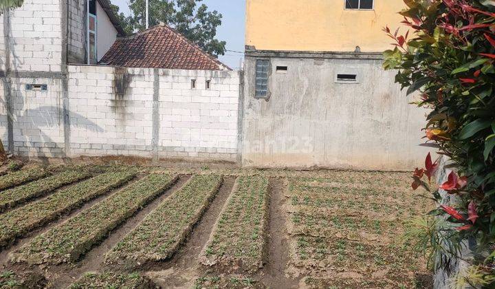 Tanah Poros Jalan Bagus Untuk Kebun Atau Rumah Di Pandanrejo Batu 2