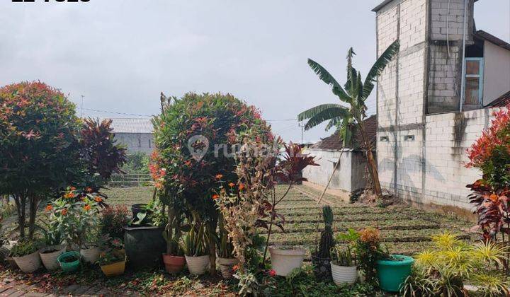 Tanah Poros Jalan Bagus Untuk Kebun Atau Rumah Di Pandanrejo Batu 1