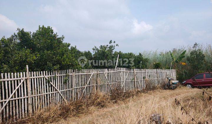 Tanah Kebun Jeruk Produktif Murah Strategis di Bumiaji Kota Batu 2