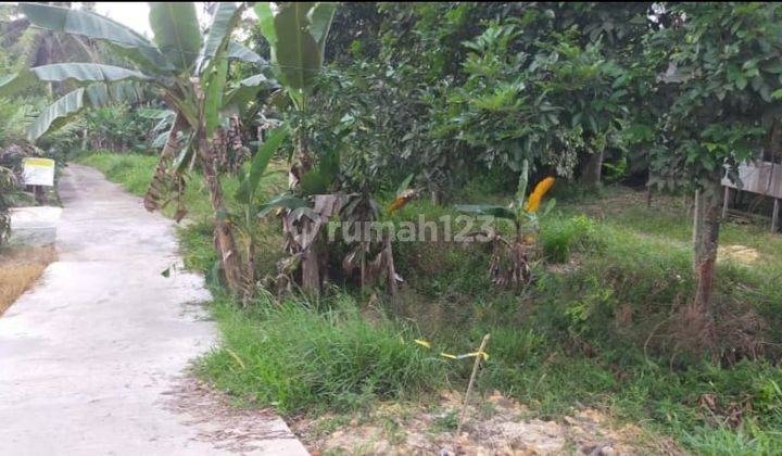 Lahan Luas Poros Jalan Potensial Untuk Tani Atau Perum Di Kaltim 2