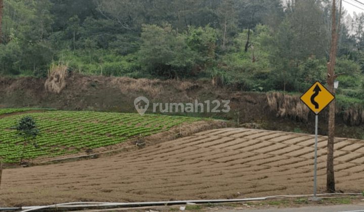 Tanah Poros Jalan Strategis Utk Bangunan Usaha Di Bumiaji Batu 1