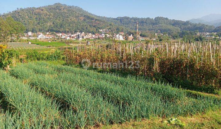 TANAH SAWAH SUBUR HARGA ISTIMEWA DI SUMBEREJO KOTA BATU. 2