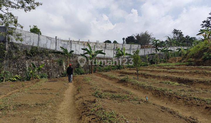 Tanah Murah View Bagus Segar Subur Akses Mudah Di Giripurno Batu  2