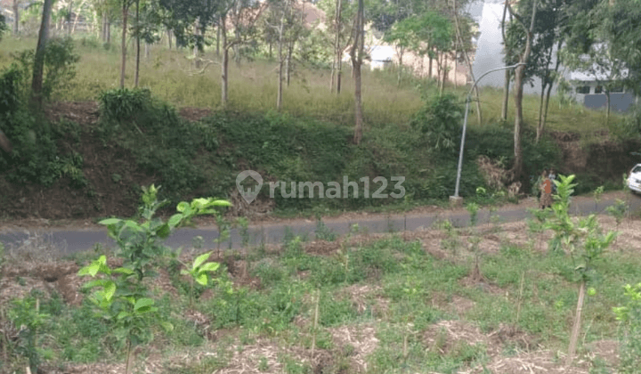 Tanah Bu Termurah Mudah Diijangkau Potensial Utk Cluster Batu 1