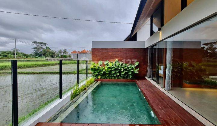 Sewa Rumah Siap Huni Furnish Plus Pool Suasana Asri Murah Di Bali 2