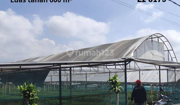 Tanah Murah View Terbaik Sejuk Segar Untuk Kebun Sayur Di Batu 1