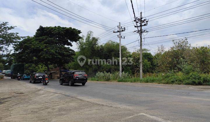 Tanah Strategis Poros Jalan Surbaya Dan Situbondo Luas Di Paiton 2