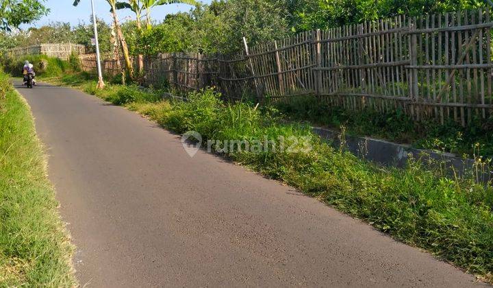 Tanah Nego Kebun Jeruk Produktif Dataran Tinggi Sejuk Junggo Batu 2