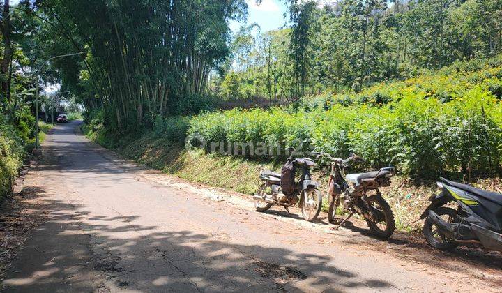 Tanah Murah Jual Rugi Cocok Utk Vila Wisata View Gunung Di Batu 2