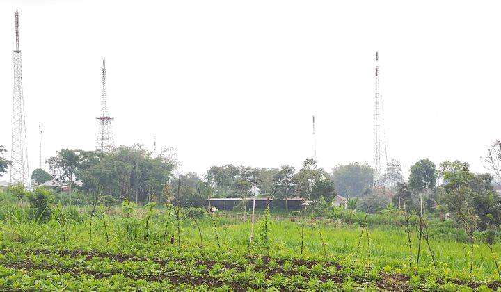 Tanah Kavling Luas Area Perkebunan View Gunung Di Jalibar Batu 2